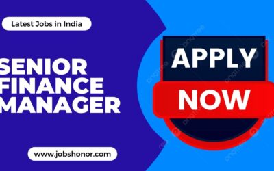 Senior Finance Manager